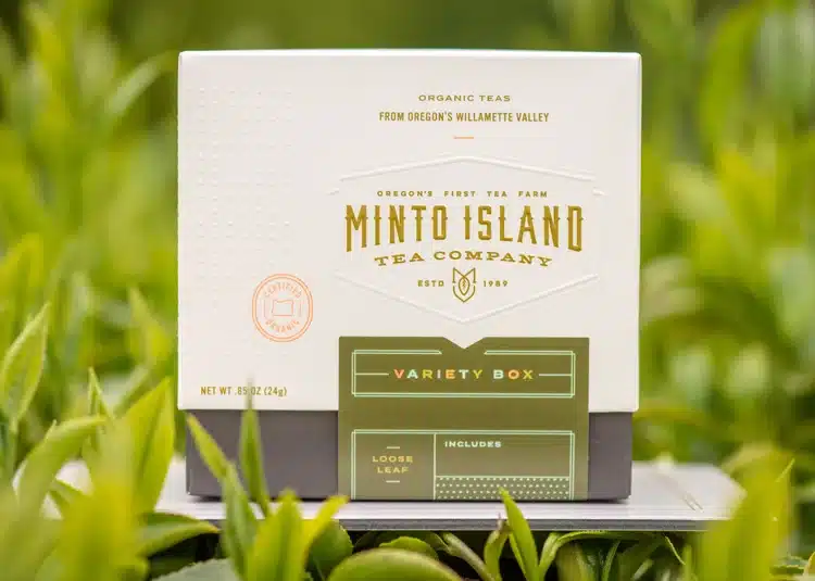 Minto Island Tea Spring Variety Pack
