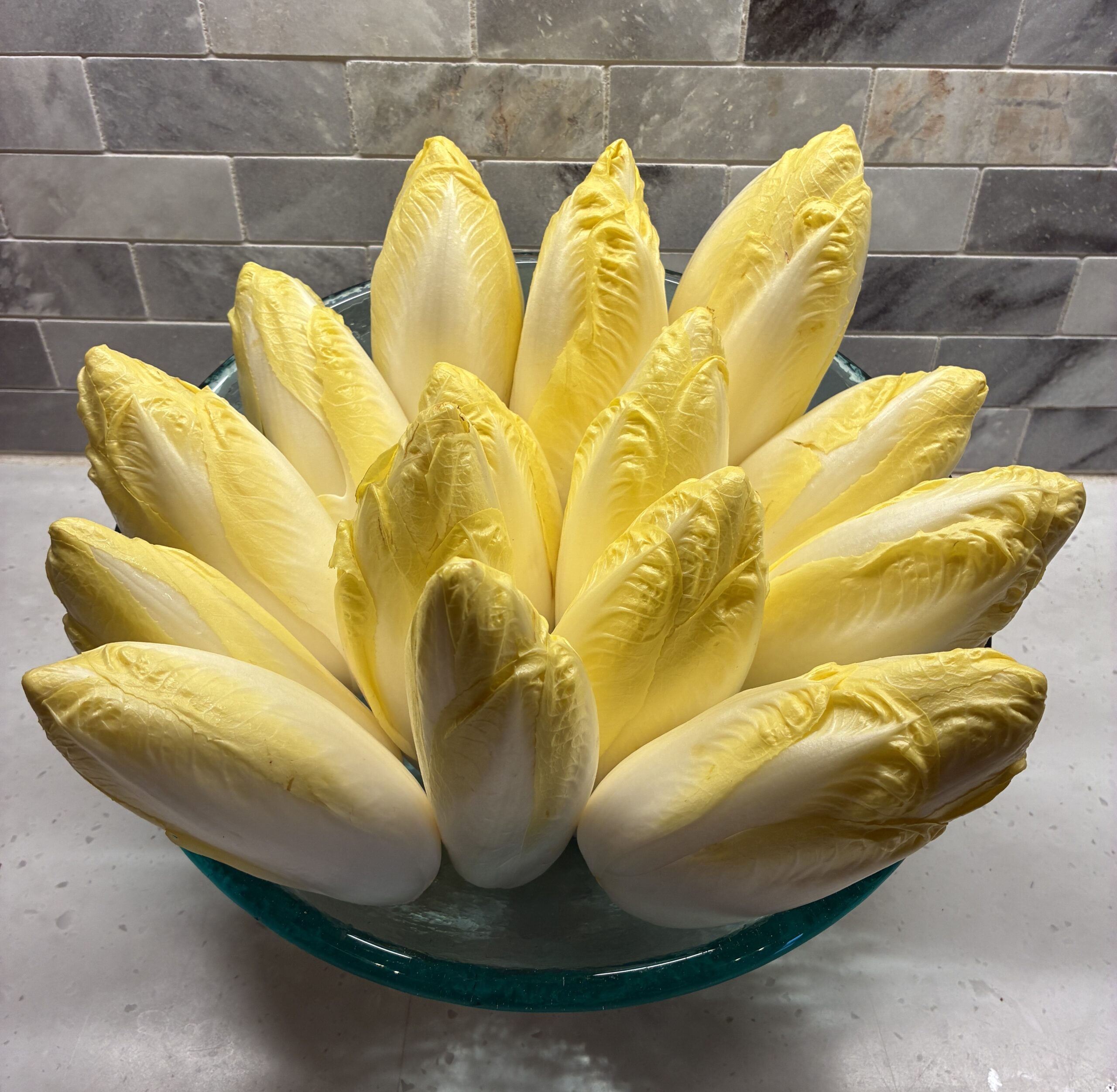 Visser's Farm Belgian Endive
